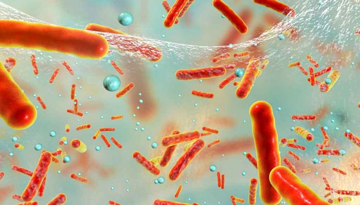 PREXELENT Technology fighting harmful microbes Unwanted bacterias